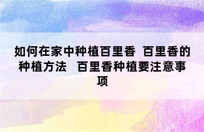 如何在家中种植百里香  百里香的种植方法   百里香种植要注意事项